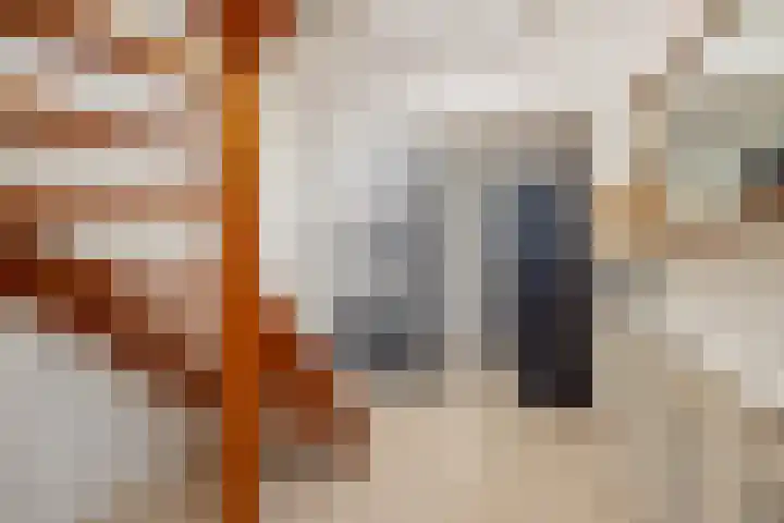 Aalscholverlaan 24 's-Hertogenbosch thumbnail 30