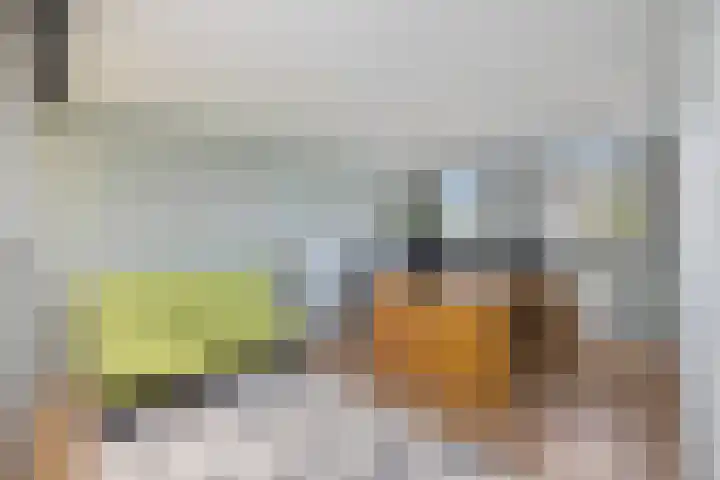 Aalscholverlaan 24 's-Hertogenbosch thumbnail 31