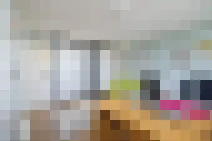 Aalscholverlaan 24 's-Hertogenbosch thumbnail 32