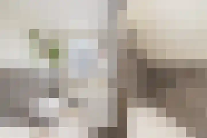 Aalscholverlaan 24 's-Hertogenbosch thumbnail 35