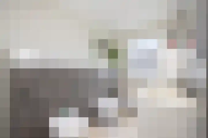 Aalscholverlaan 24 's-Hertogenbosch thumbnail 37