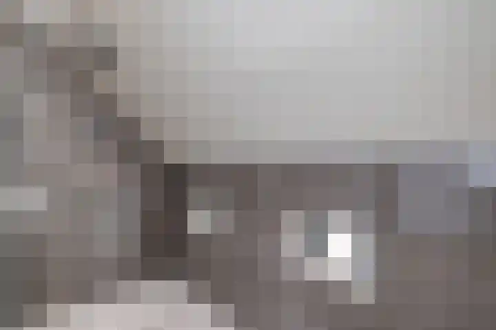 Aalscholverlaan 24 's-Hertogenbosch thumbnail 38