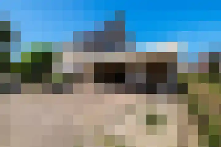 Aalscholverlaan 24 's-Hertogenbosch thumbnail 50