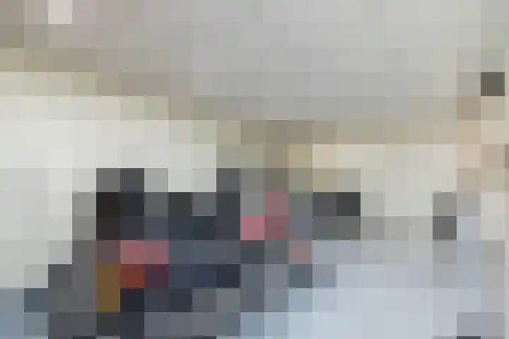 Aalscholverlaan 24 's-Hertogenbosch thumbnail 53
