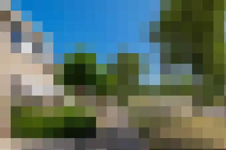 Aalscholverlaan 24 's-Hertogenbosch thumbnail 57