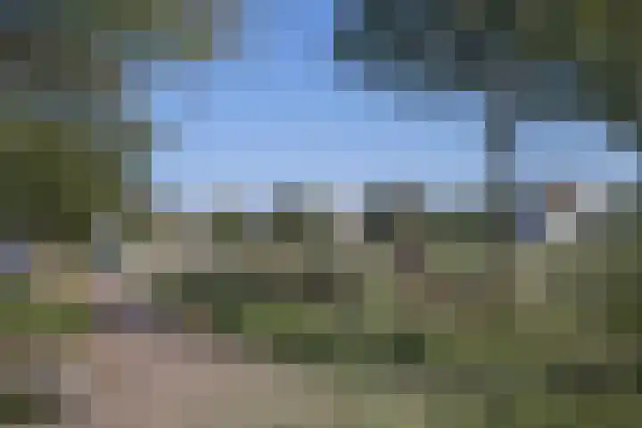 Aalscholverlaan 24 's-Hertogenbosch thumbnail 66