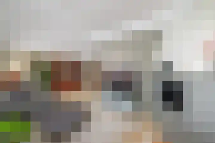 Aalscholverlaan 24 's-Hertogenbosch thumbnail 7