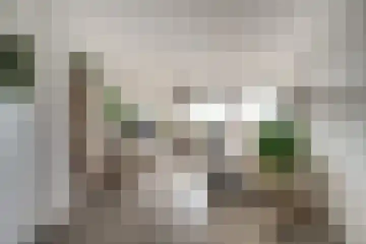 Aalscholversingel 110 Velp thumbnail 15