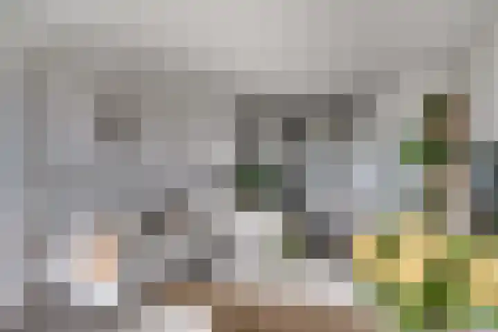 Aalscholversingel 110 Velp thumbnail 24