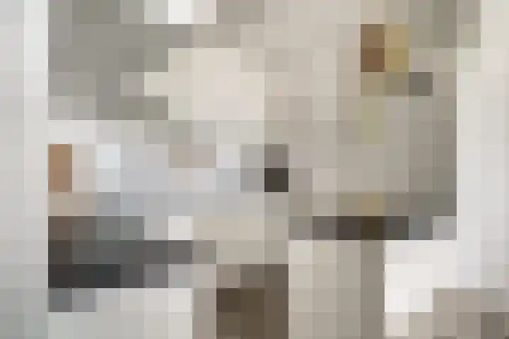Aalscholversingel 110 Velp thumbnail 29