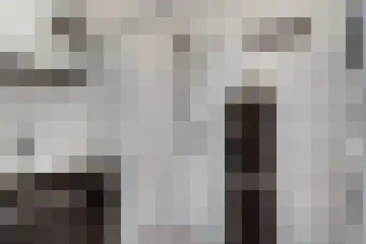 Aalscholversingel 110 Velp thumbnail 36