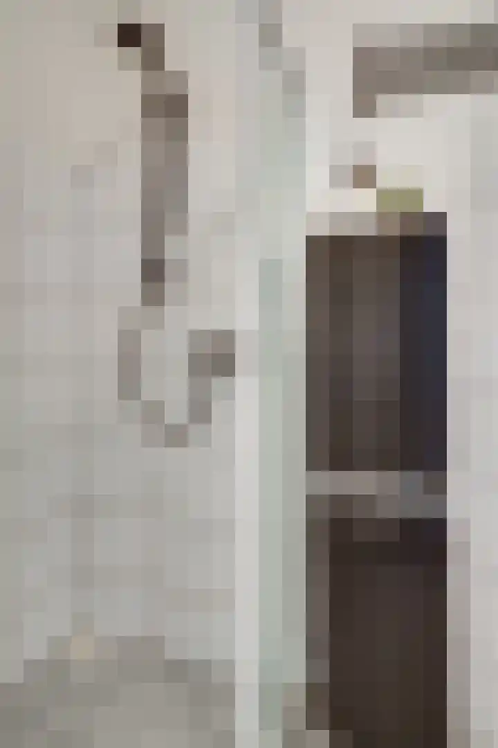 Aalscholversingel 110 Velp thumbnail 39