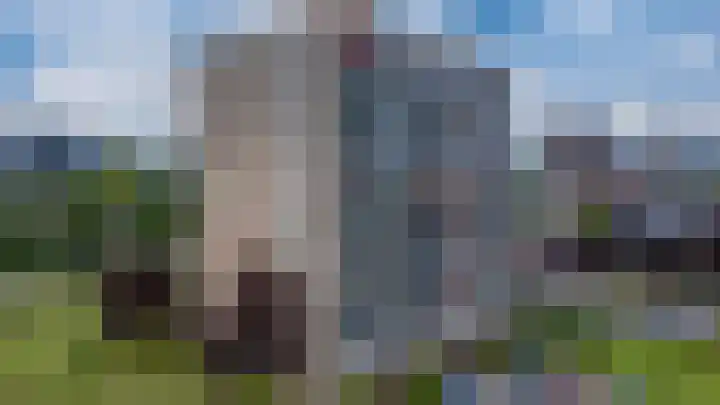 Aalscholversingel 110 Velp thumbnail 47
