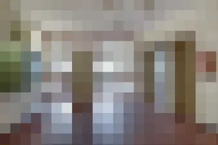 Aalscholversingel 110 Velp thumbnail 9