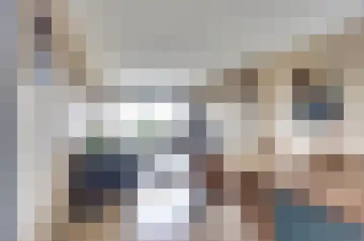 Aalscholversingel 120 Velp thumbnail 20
