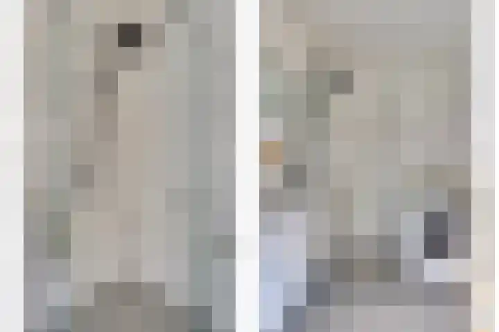 Aalscholversingel 120 Velp thumbnail 31