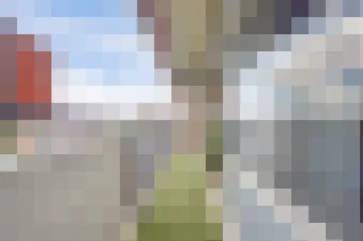 Aalscholversingel 120 Velp thumbnail 33