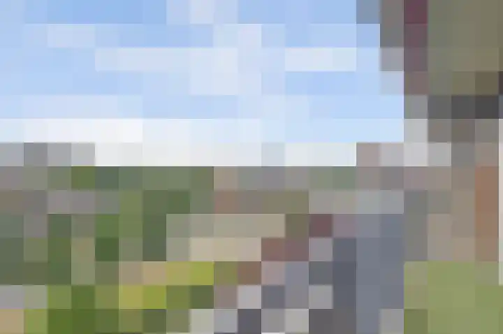 Aalscholversingel 120 Velp thumbnail 36