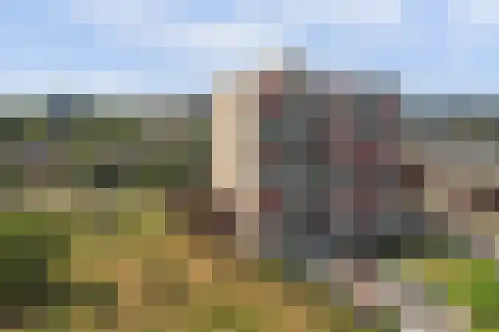 Aalscholversingel 120 Velp thumbnail 38