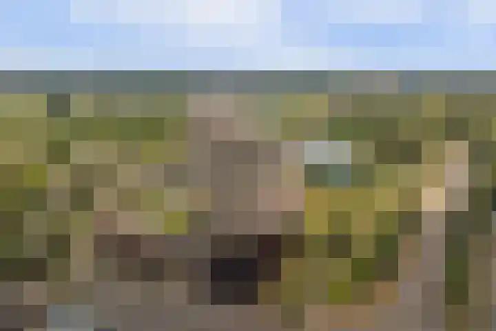 Aalscholversingel 120 Velp thumbnail 40