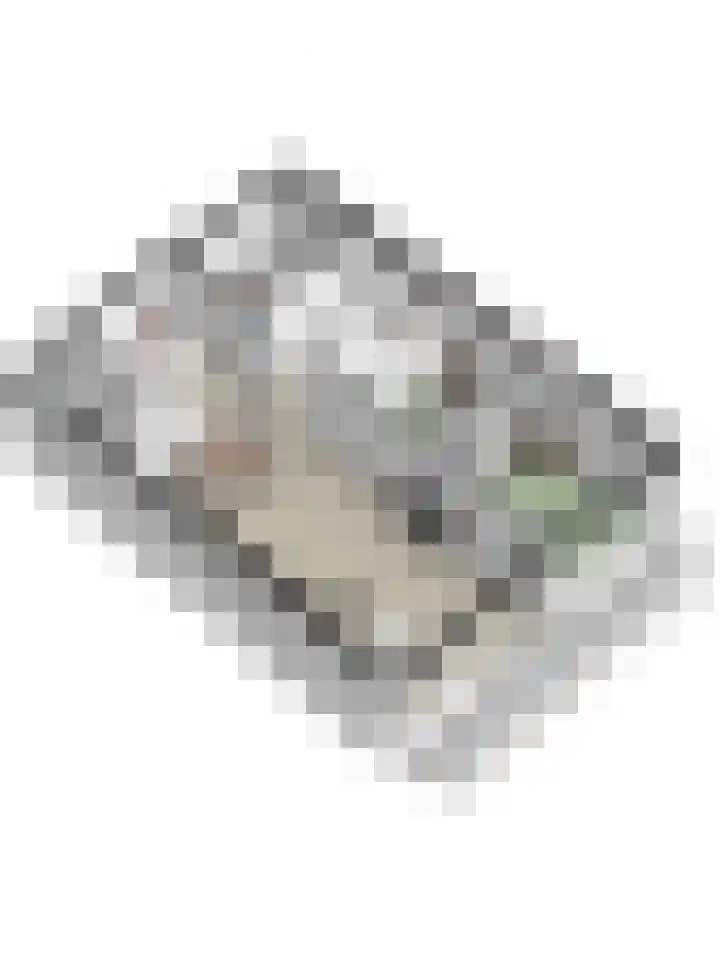 Aalscholversingel 120 Velp thumbnail 43