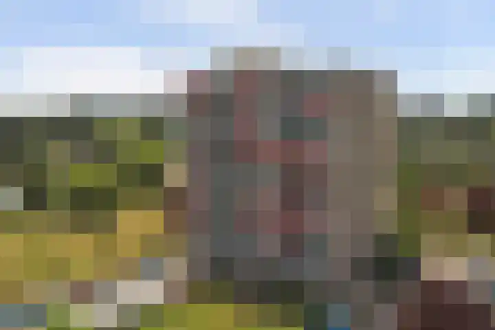 Aalscholversingel 120 Velp thumbnail 44