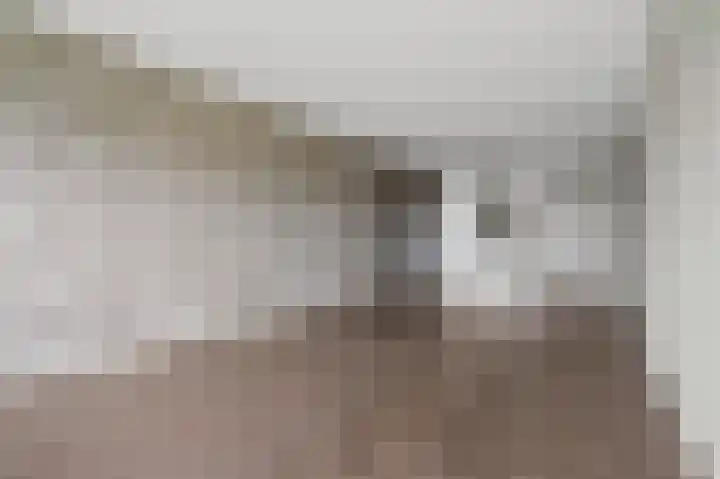 Aalscholversingel 206 Velp thumbnail 14