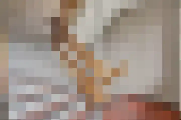 Aalscholversingel 206 Velp thumbnail 26