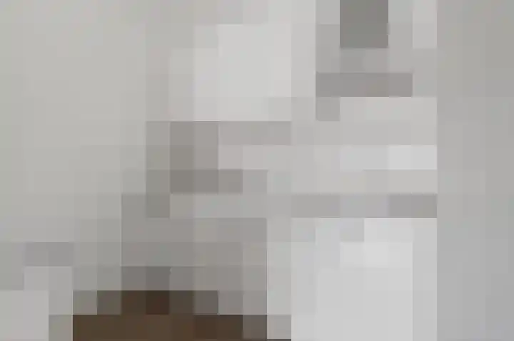 Aalscholversingel 206 Velp thumbnail 4