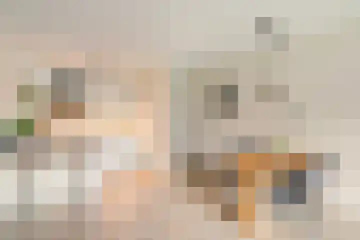Aalscholversingel 222 Velp thumbnail 12