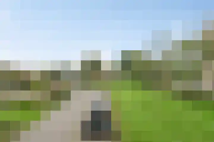 Aalscholversingel 222 Velp thumbnail 22