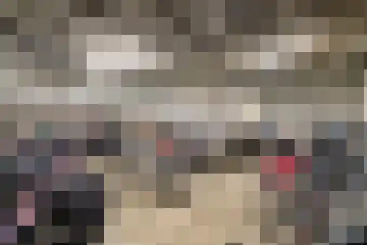 Aalscholversingel 222 Velp thumbnail 23