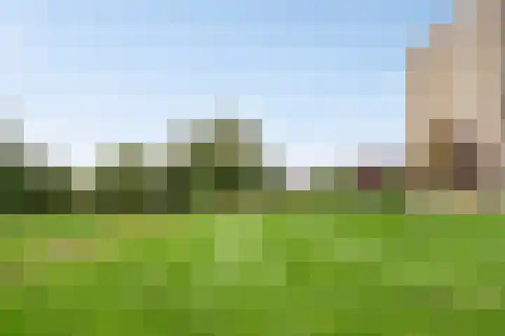 Aalscholversingel 222 Velp thumbnail 30