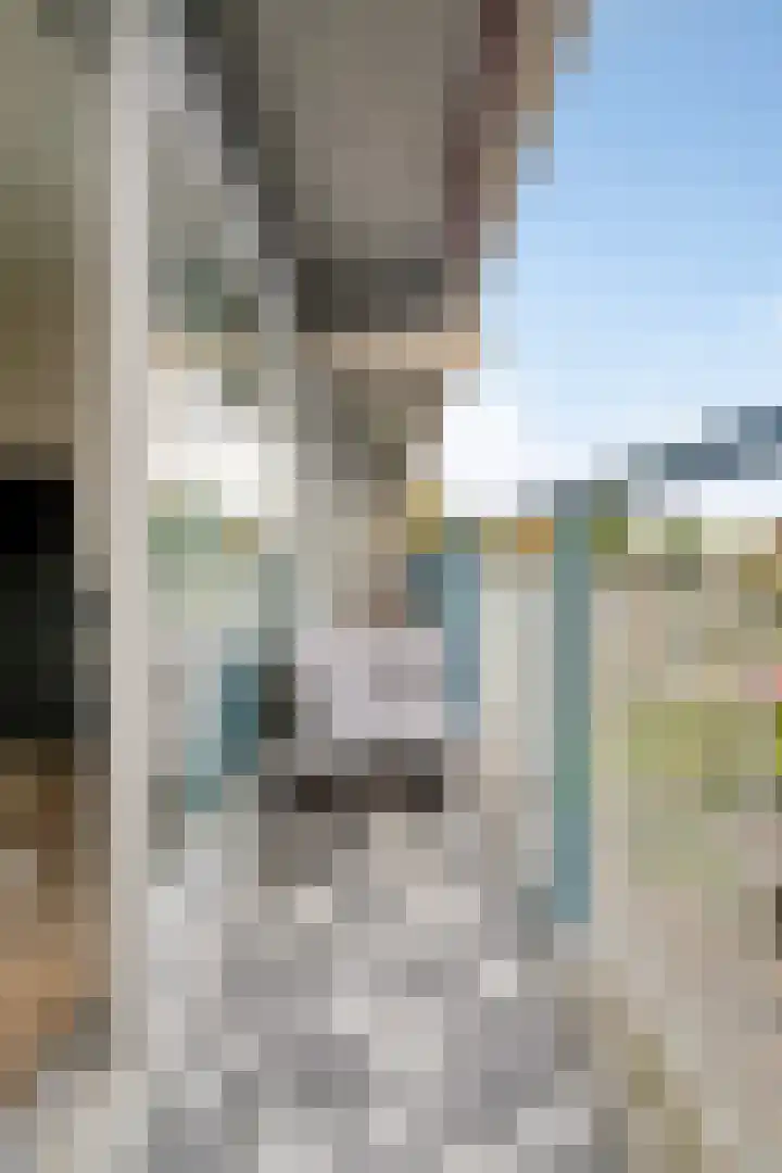 Aalscholversingel 222 Velp thumbnail 4