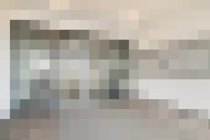 Aalscholversingel 222 Velp thumbnail 6