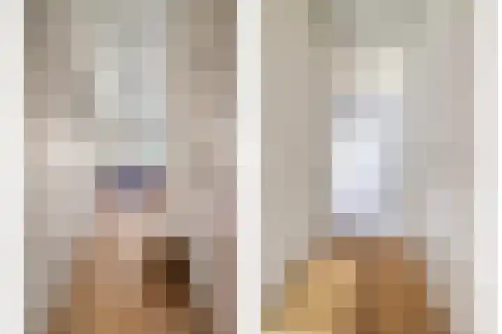 Aalscholversingel 222 Velp thumbnail 8