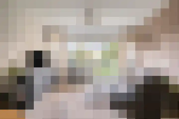 Aalscholversingel 222 Velp thumbnail 9