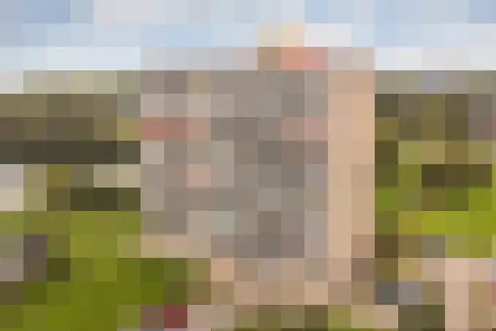 Aalscholversingel 244 Velp thumbnail 22