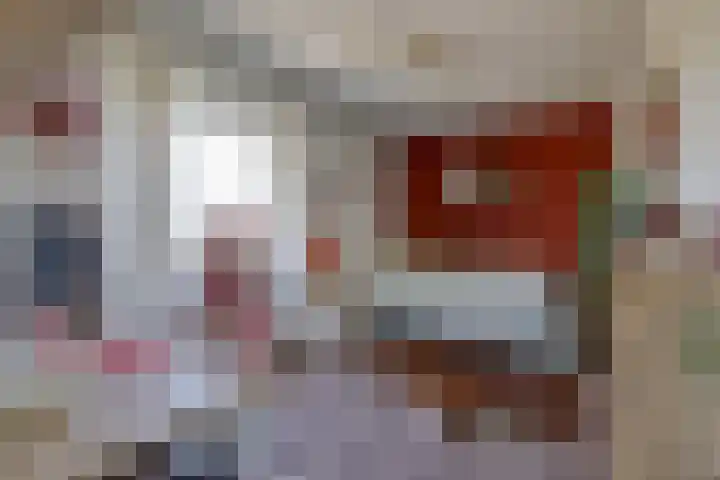 Aalscholversingel 256 Velp thumbnail 15