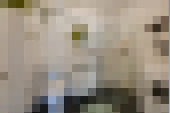 Aalscholversingel 256 Velp thumbnail 16