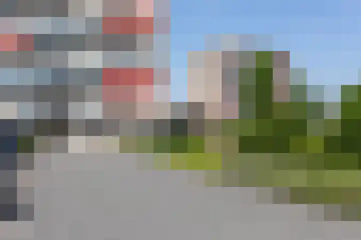 Aalscholversingel 256 Velp thumbnail 17