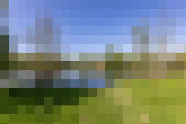 Aalscholversingel 256 Velp thumbnail 4