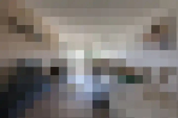 Aalscholversingel 256 Velp thumbnail 8