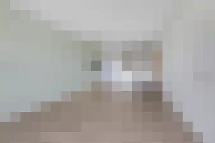 Aalscholversingel 274 Velp thumbnail 16