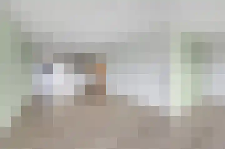 Aalscholversingel 274 Velp thumbnail 17