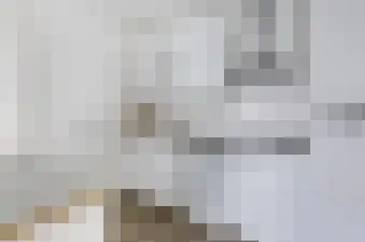 Aalscholversingel 274 Velp thumbnail 19