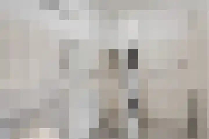 Aalscholversingel 274 Velp thumbnail 24