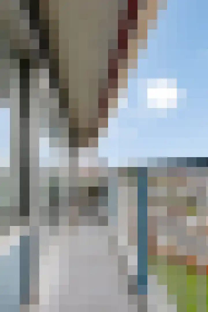 Aalscholversingel 274 Velp thumbnail 27
