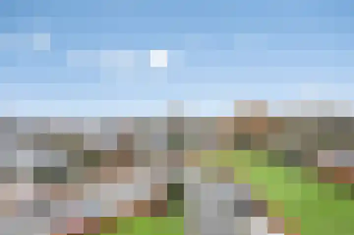 Aalscholversingel 274 Velp thumbnail 4