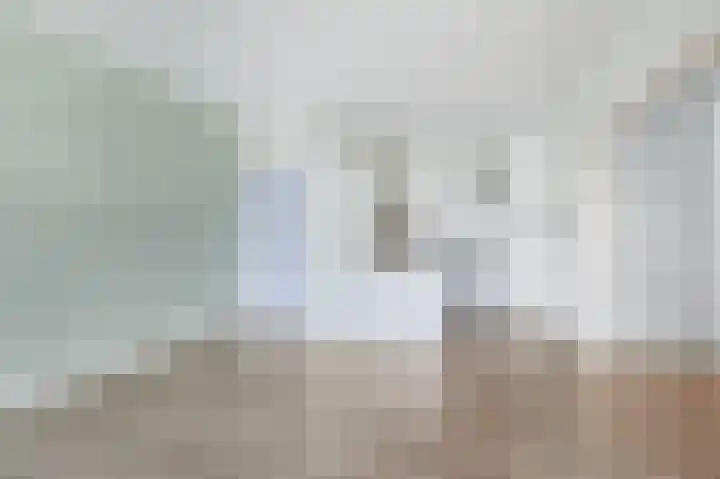 Aalscholversingel 274 Velp thumbnail 5